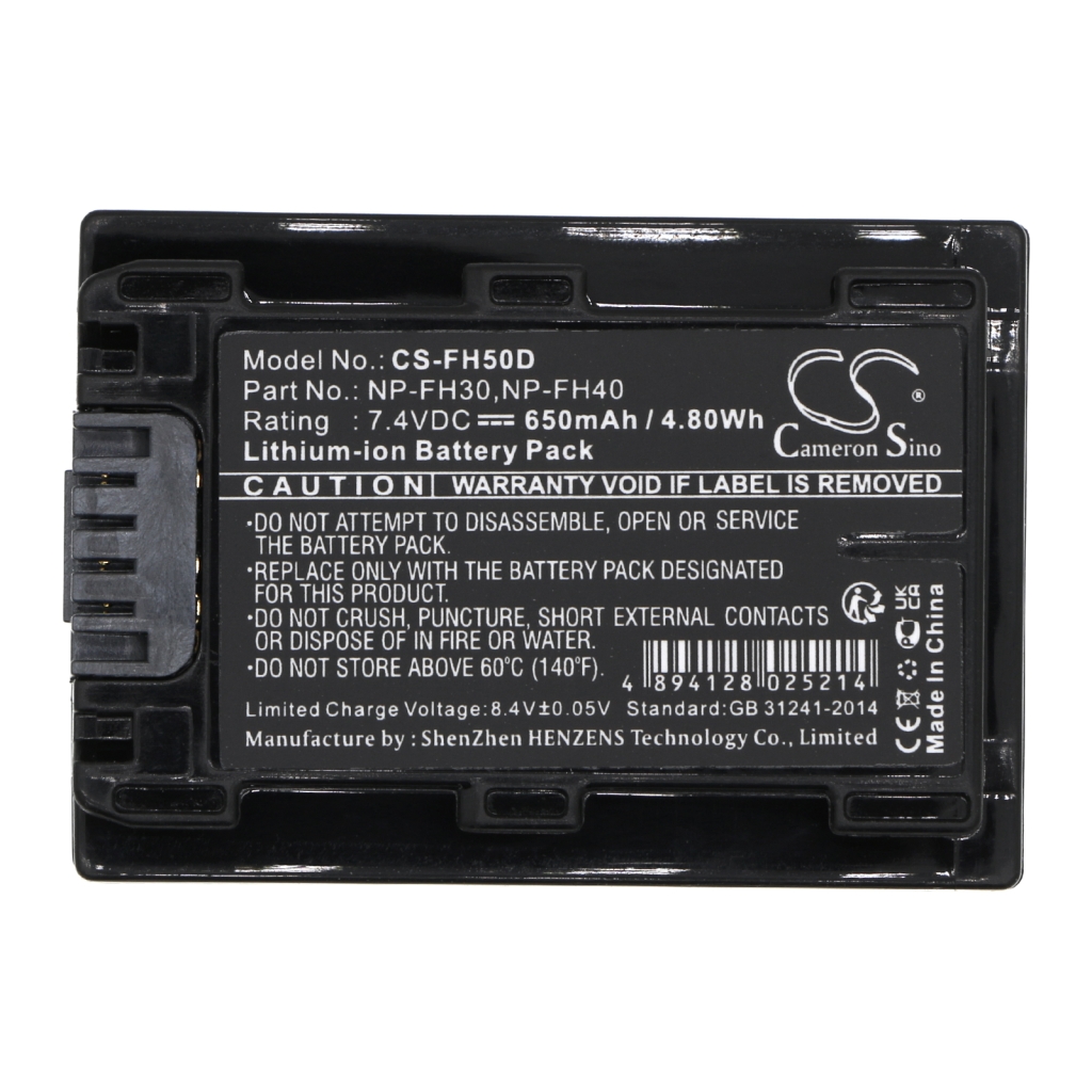 Camera Battery Sony DCR-SR290E