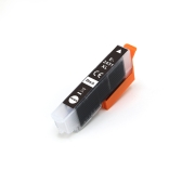 Kompatibilná náhrada za Kompatibilní s Epson C13T24314012 / 13ml Atrament Černá (Atramentové kazety)
