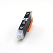 Kompatibilní s Epson C13T26314012 / 13ml Atrament Foto čierna (Atramentové kazety)